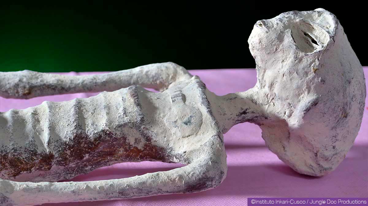 Risultati immagini per NAZCA MUMMIES thierry jamin