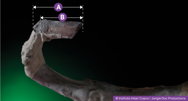 Uña de un humanoide reptiliano