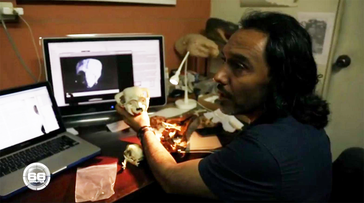 Paleontologist Rodolfo Salas Gismondi, in a French documentary showing the head of a camelid