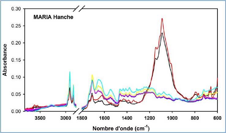 Examen de la composición molecular de diferentes muestras de la momias tridáctilas de Nazca