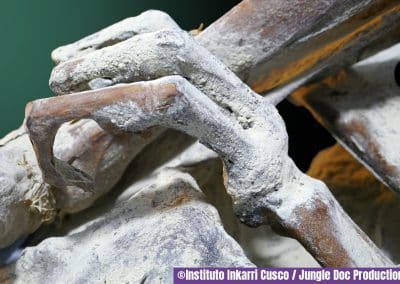 Una mano de Chaska Willakuq