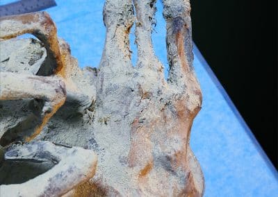 Los pies de Chaska Willakuq